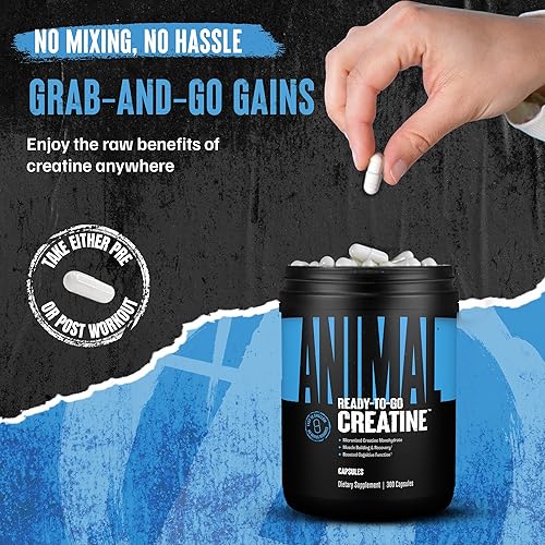 Universal Nutrition Animal Creatine Monohydrate Capsules - 300 Caps, 2500mg - Muscle Growth & Endurance Support'