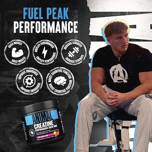 Universal Nutrition Enhanced Animal Creatine Chews Tablets with AstraGin for Better Absorption - Fruit Punch Flavor'