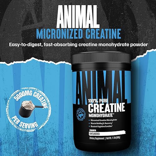 Universal Nutrition Animal Creatine Monohydrate Powder - Micronized for Muscle Growth, Strength, & Endurance - 500g