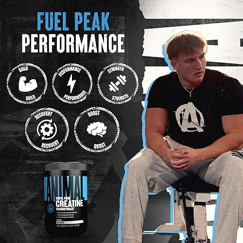 Universal Nutrition Animal Creatine Monohydrate Powder - Micronized for Muscle Growth, Strength, & Endurance - 500g