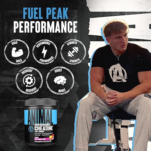 Universal Nutrition Supercharged Fruit Punch Creatine Powder for Strength & Endurance - 300g