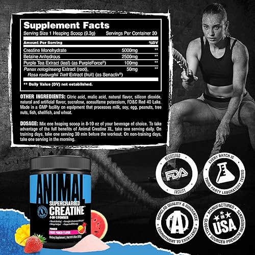 Universal Nutrition Supercharged Fruit Punch Creatine Powder for Strength & Endurance - 300g
