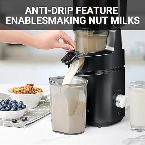 AMZCHEF Cold Press Juicer for Whole Fruit & Vegetables, Easy to Clean, High Yield - Black