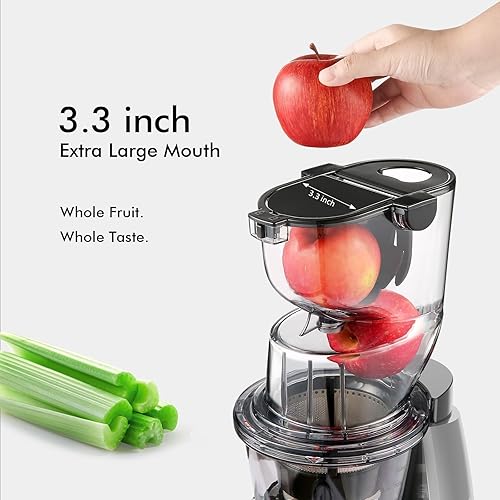 SiFENE Cold Press Juicer Machine - Large Feed Chute, High Juice Yield, Easy Clean, Gray