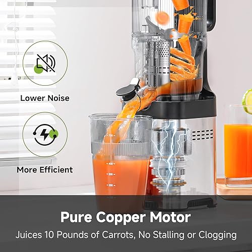 AMZCHEF Cold Press Juicer - Large Feed Chute, Stainless Steel Masticating Juicer, Easy to Clean - Silver