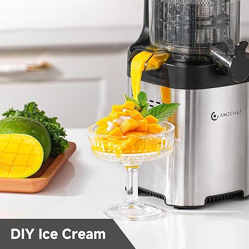 AMZCHEF Cold Press Juicer - Large Feed Chute, Stainless Steel Masticating Juicer, Easy to Clean - Silver