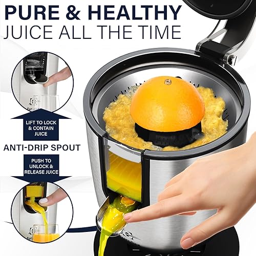 Eurolux Premium Electric Orange Juicer | Stainless Steel Citrus Squeezer with Powerful Motor and Easy Juicing Handle