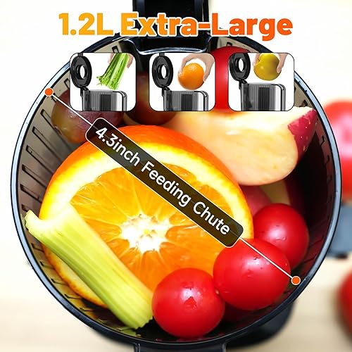 Mısdlar Store Gray Slow Juicer Machine with Large Feed Chute for Whole Fruits and Vegetables