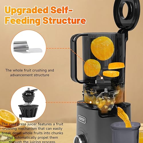 Mısdlar Store Gray Slow Juicer Machine with Large Feed Chute for Whole Fruits and Vegetables