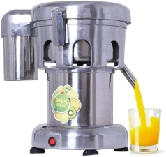 Stainless Steel Commercial Juice Extractor - 370W, Heavy Duty 2800r/min