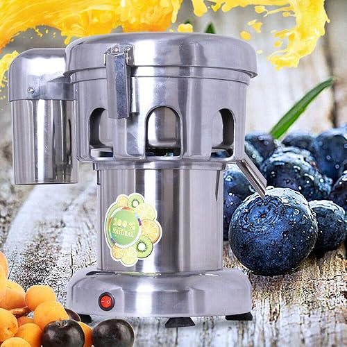 Stainless Steel Commercial Juice Extractor - 370W, Heavy Duty 2800r/min