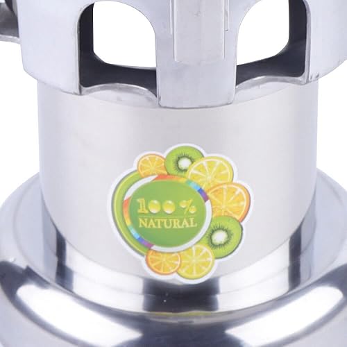 Stainless Steel Commercial Juice Extractor - 370W, Heavy Duty 2800r/min