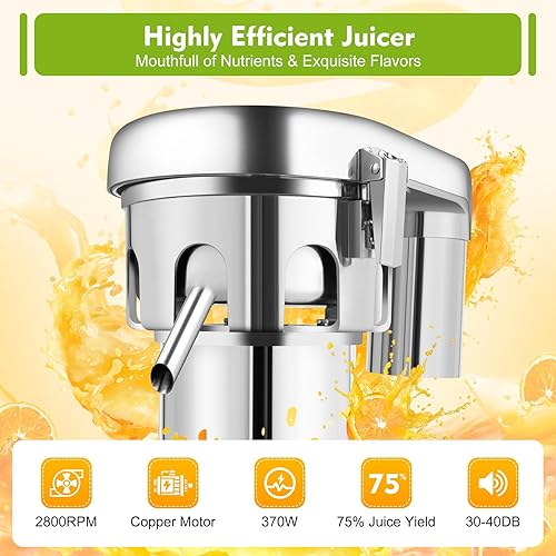 Stainless Steel Cold Press Juicer with Low Noise, Overheating Protection