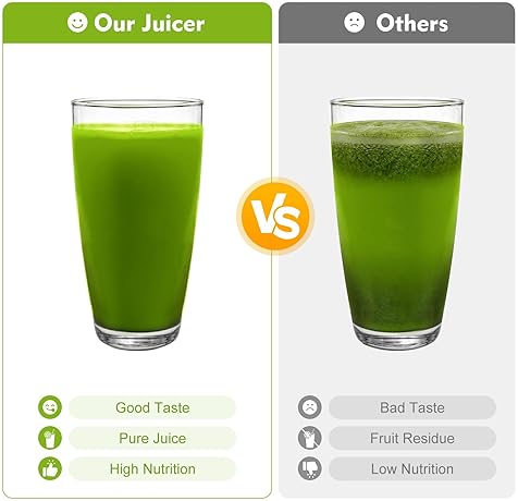 Stainless Steel Cold Press Juicer with Low Noise, Overheating Protection
