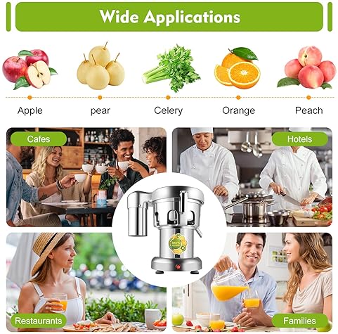 Stainless Steel Cold Press Juicer with Low Noise, Overheating Protection