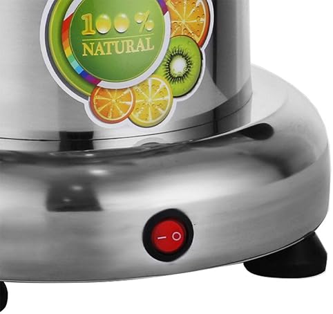 Stainless Steel Juicer Machine - Fruit & Vegetable Juice Extractor - 110V 370W
