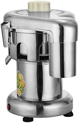 Stainless Steel Juicer Machine - Fruit & Vegetable Juice Extractor - 110V 370W