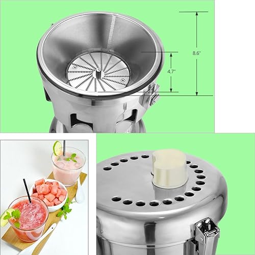 Stainless Steel Juicer Machine - Fruit & Vegetable Juice Extractor - 110V 370W