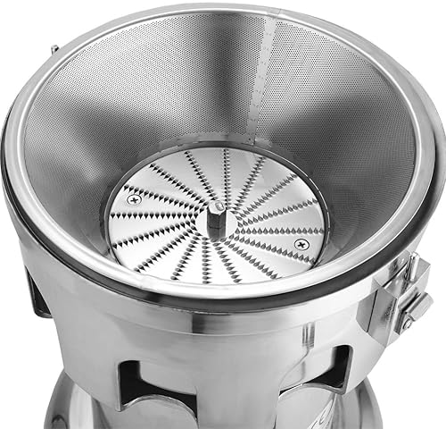 Stainless Steel Juicer Machine - Fruit & Vegetable Juice Extractor - 110V 370W