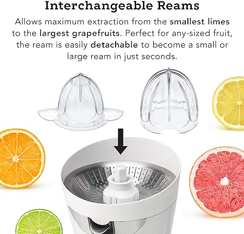 Tribest CitriStar CS-1000 Electric Citrus Juicer - Stainless Steel Strainer & Spout (White)