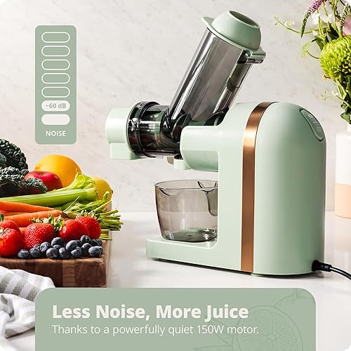 Greater Goods Powerful Slow Masticating Juicer for Fruits & Veggies, High Juice Yield, Easy to Clean - Sage Green