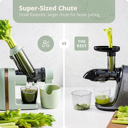 Greater Goods Powerful Slow Masticating Juicer for Fruits & Veggies, High Juice Yield, Easy to Clean - Sage Green