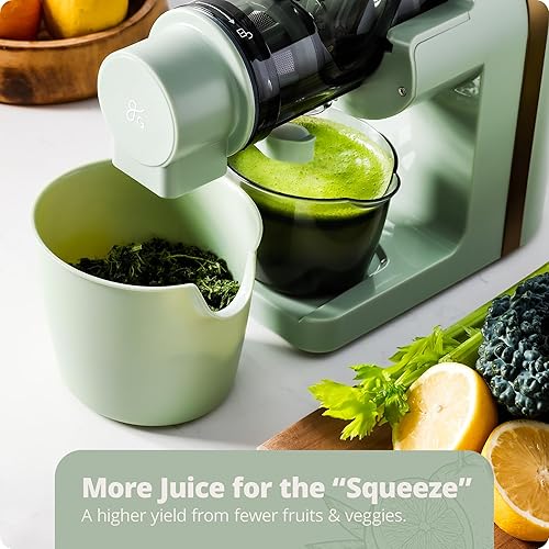 Greater Goods Powerful Slow Masticating Juicer for Fruits & Veggies, High Juice Yield, Easy to Clean - Sage Green