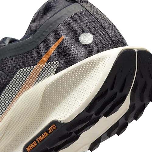 Nike Pegasus Trail 5 GORE-TEX Men's Waterproof Trail Running Shoes