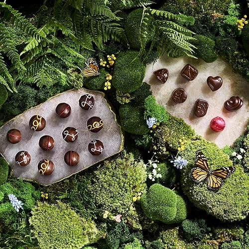 Godiva Dark Chocolate Truffle Gift Box - 12pc Gourmet Candy with Creamy Ganache for Birthday, Thank You, Anniversary, Congratulations