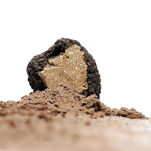 Sabatino Truffle Zest Seasoning by Sabatino Tartufi - Gourmet All-Purpose Powder, Vegan, Keto-Friendly - 5.29 oz