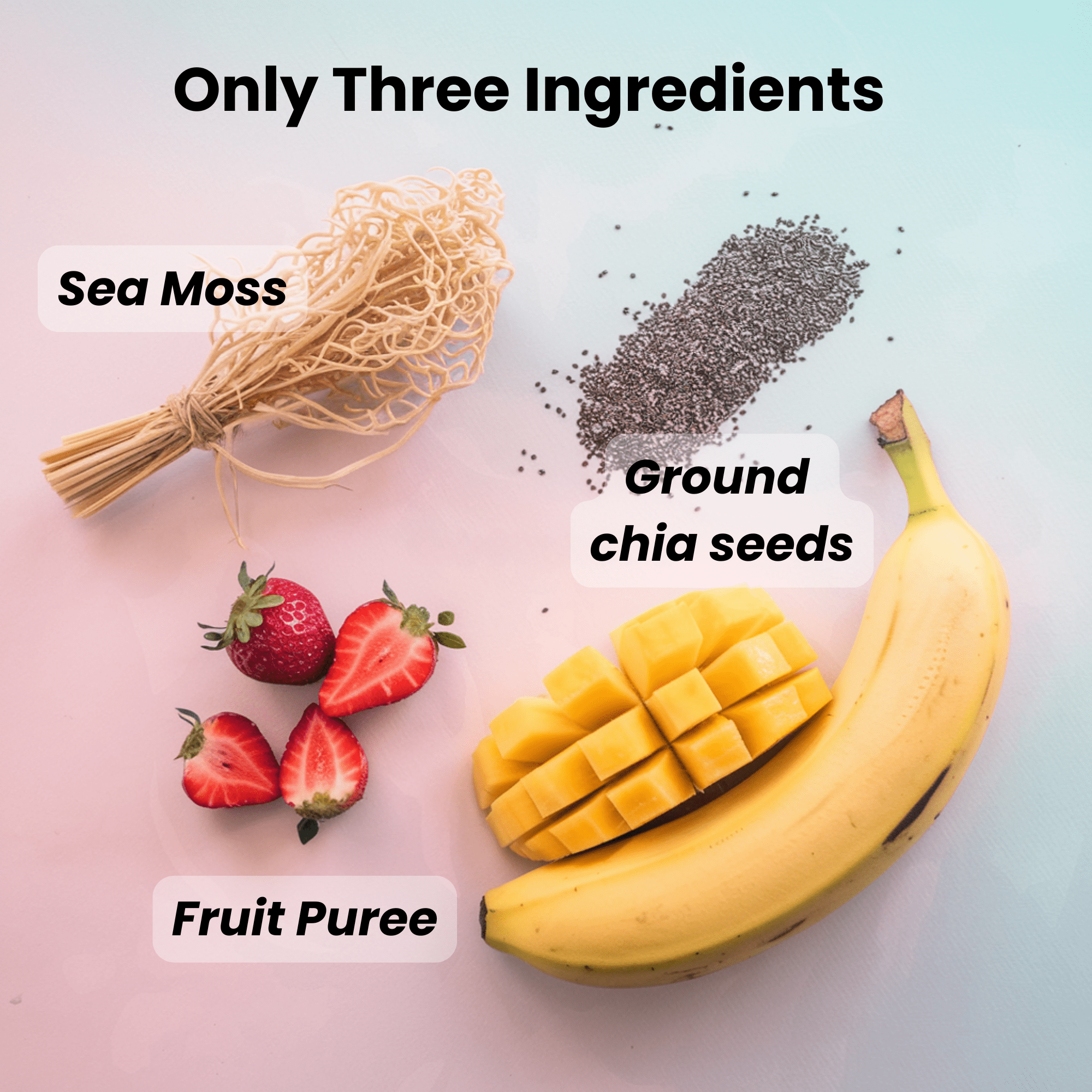 HALEVIT | IRISH SEA MOSS GEL | SEA MOSS, CHIA SEEDS, BERRY, MANGO - PINEAPPLE | PACK OF 2 JARS | MAD