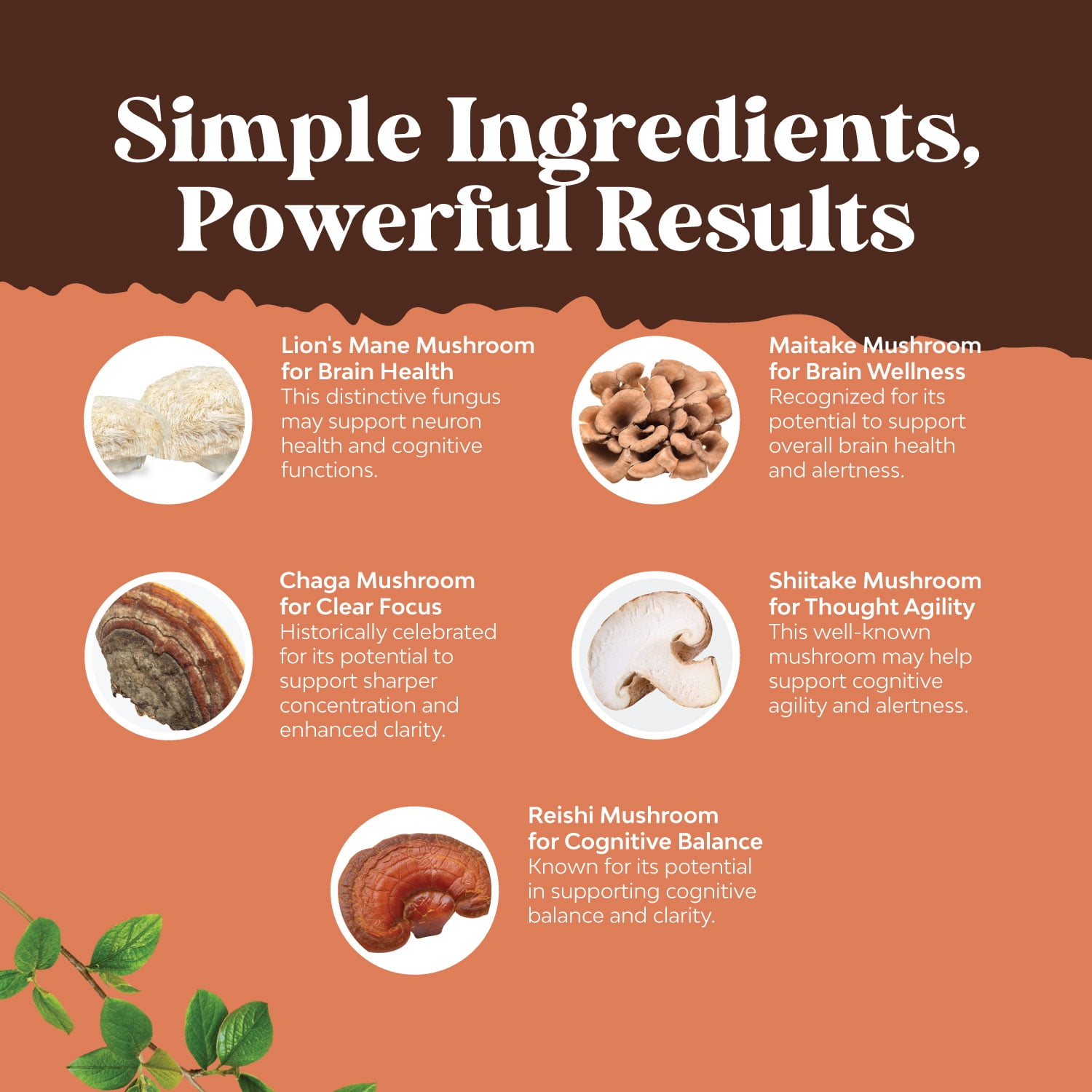Natures Craft 10X Lions Mane Mushroom Complex Capsules - Adaptogenic Brain Support Supplement