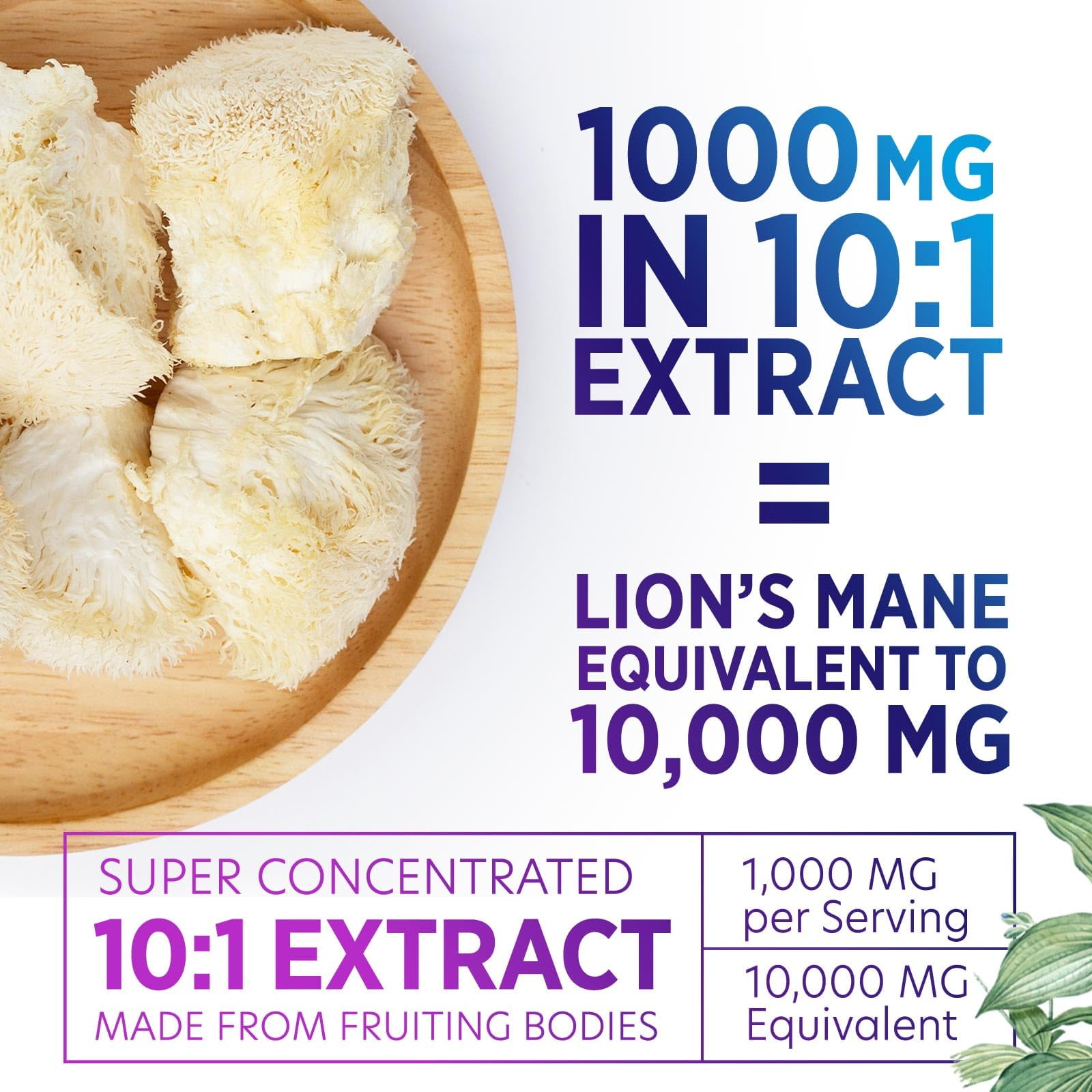 Nature's Nutrition Lion’s Mane Mushroom Capsules 10:1 Extract - Brain & Immune Support - Nootropic Supplement - 60 Vegan Caps