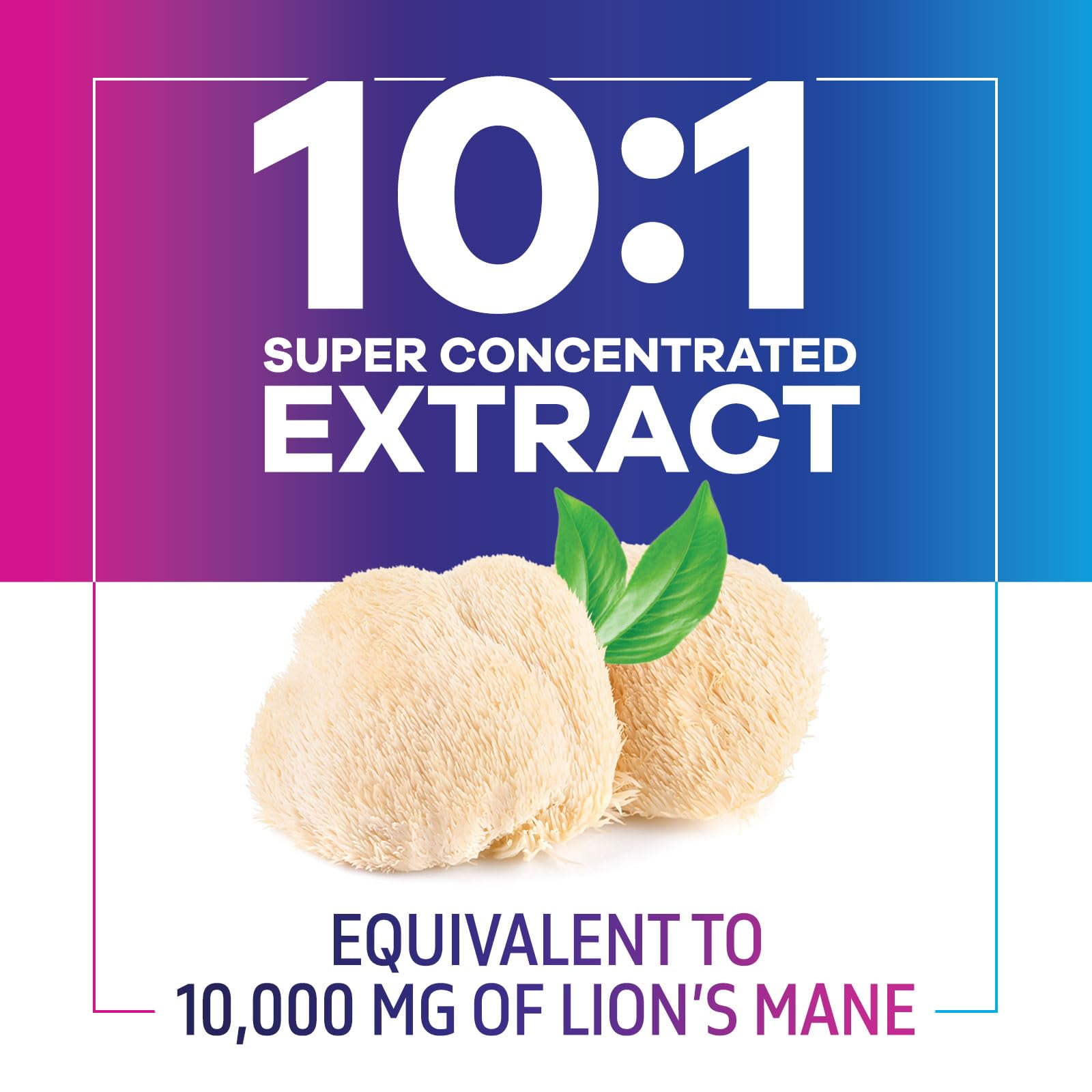 Nature's Nutrition Lion’s Mane Mushroom Capsules 10:1 Extract - Brain & Immune Support - Nootropic Supplement - 60 Vegan Caps