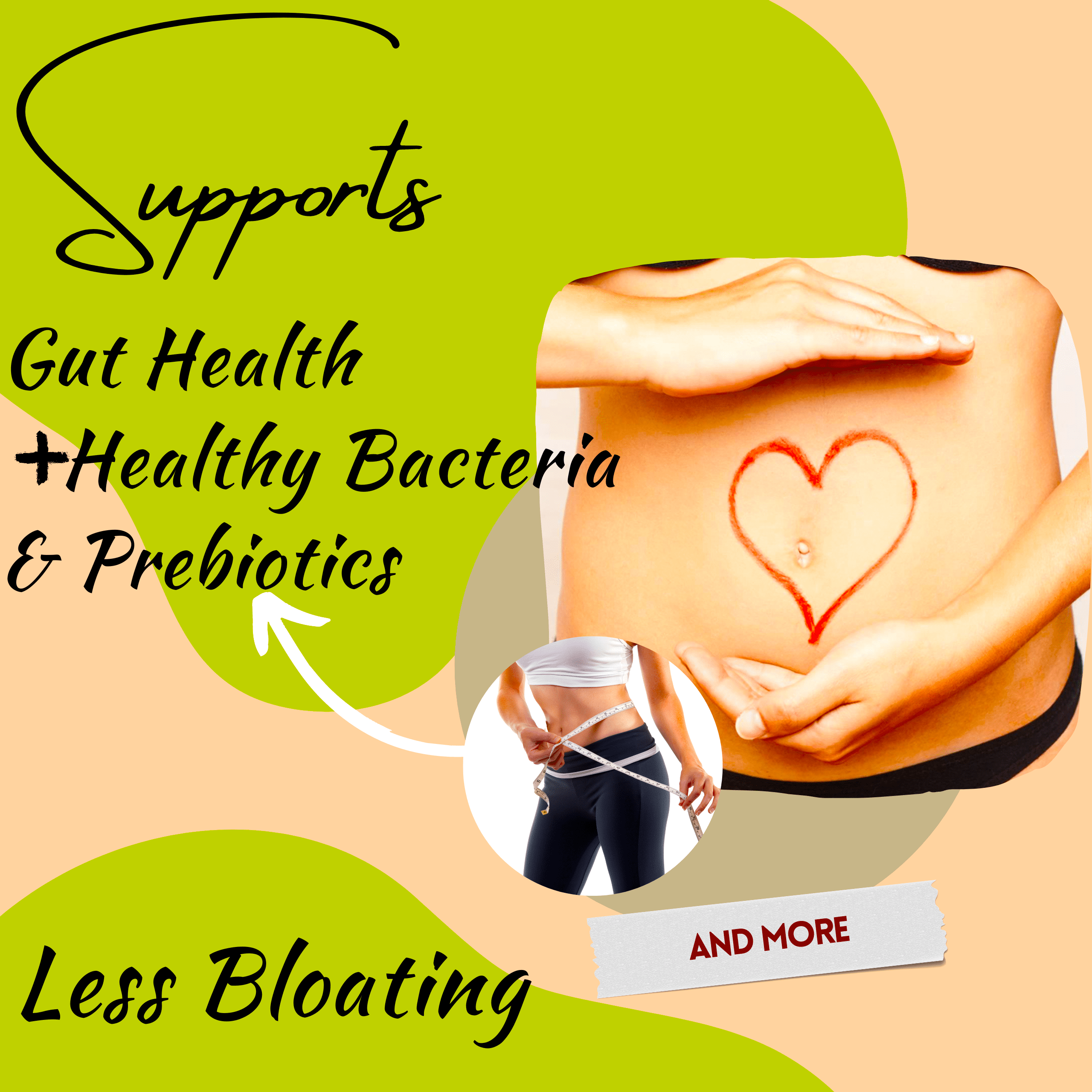 Research Labs Organic Irish Sea Moss Capsules for Thyroid Support w/ Bladderwrack & Burdock Root - 240 Pills