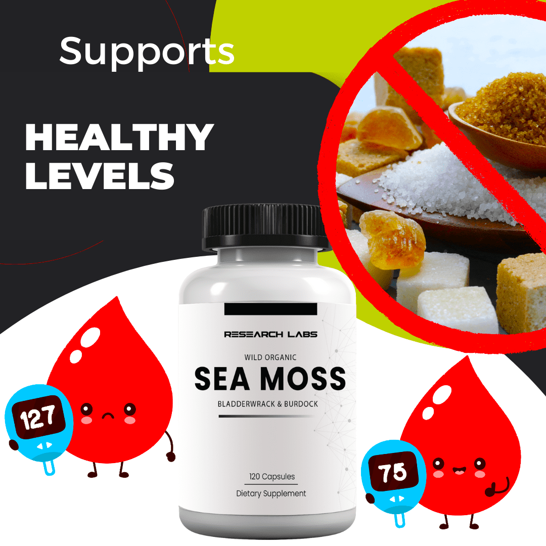 Research Labs Organic Irish Sea Moss Capsules for Thyroid Support w/ Bladderwrack & Burdock Root - 240 Pills