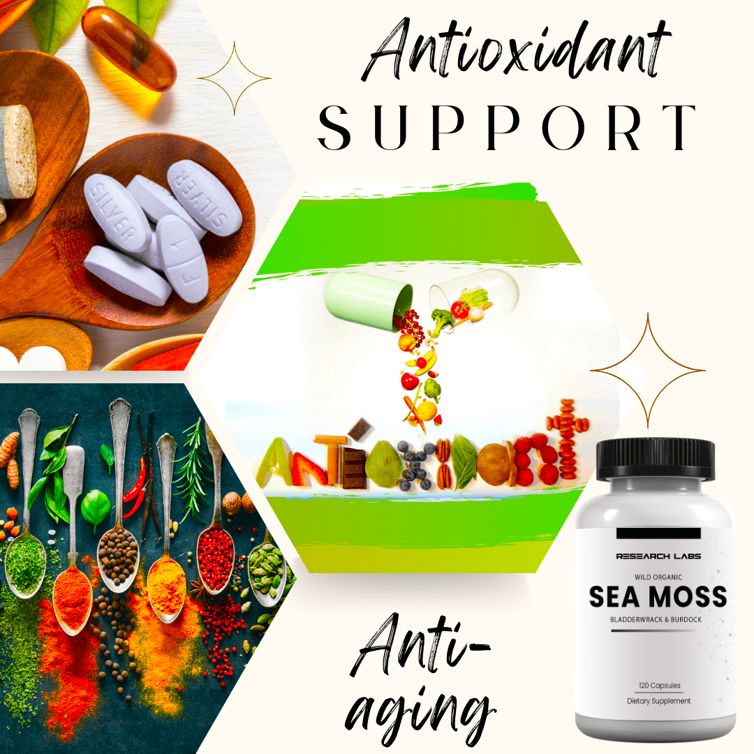 Research Labs Organic Irish Sea Moss Capsules for Thyroid Support w/ Bladderwrack & Burdock Root - 240 Pills