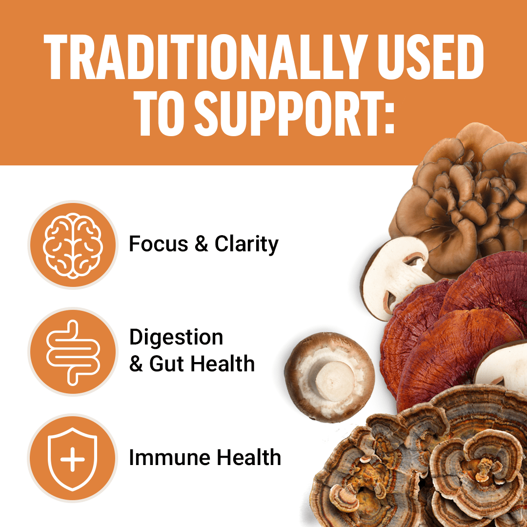 Force Factor Modern Mushroom Supplement, Cinnamon Roll Soft Chews - 60 Count