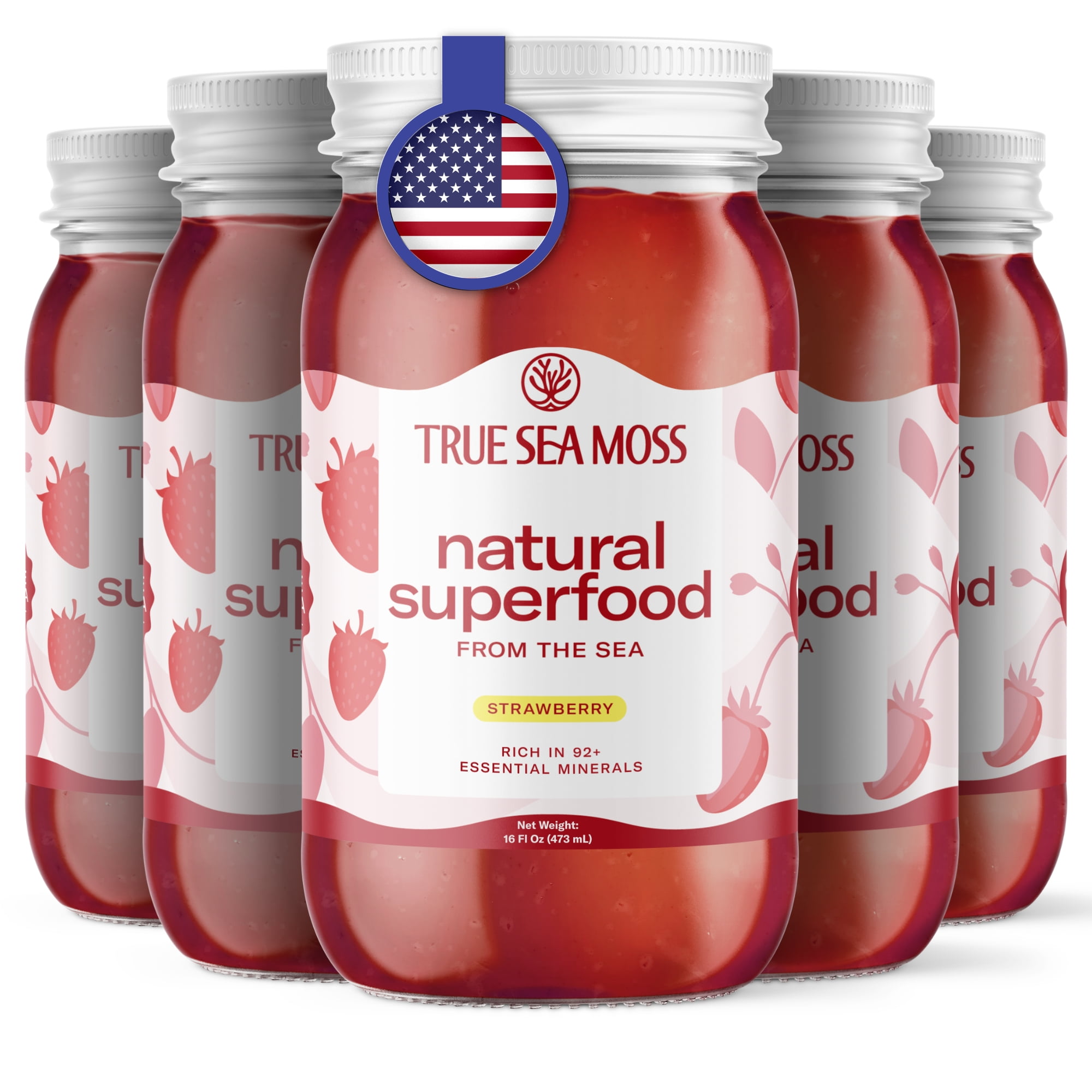 True Sea Moss Organic Raw Irish Sea Moss Gel 5-Pack, 80 oz - Wildcrafted, Antioxidant