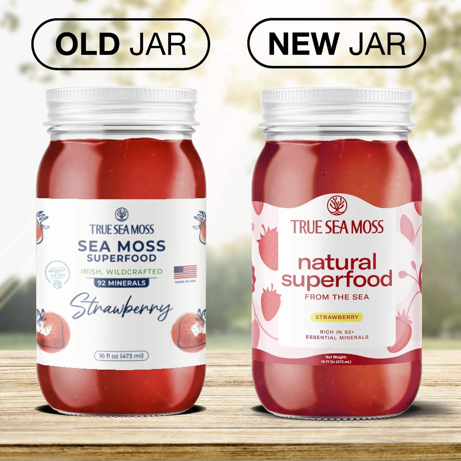 True Sea Moss Organic Raw Irish Sea Moss Gel 5-Pack, 80 oz - Wildcrafted, Antioxidant