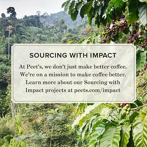Peet's Coffee Big Bang Medium Roast K-Cup Pods - 60 Count