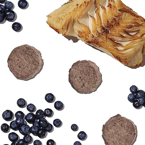 HONEST KITCHEN SUPERFOOD COD & STRAWBERRY CRISPS, 3 OZ