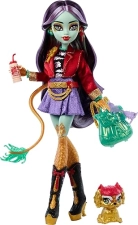 Mattel Monster High Jinafire Long Doll with Dragon Pet and 7 Accessorie
