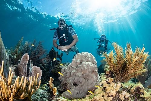 Scubapro Zoom Dive Mask - Top-quality Underwater Gear