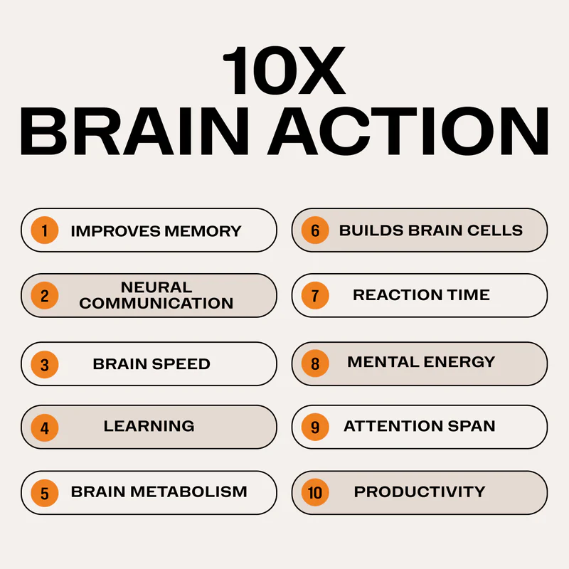 Vimergy Brain Body Memory