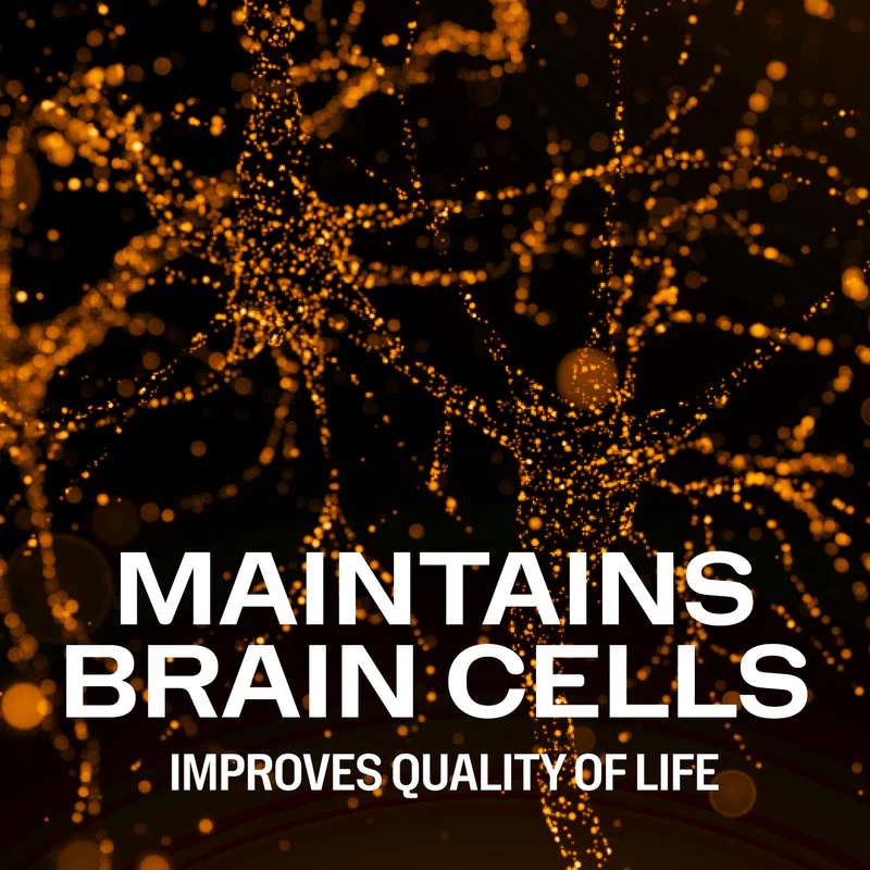 Vimergy Brain Body Memory