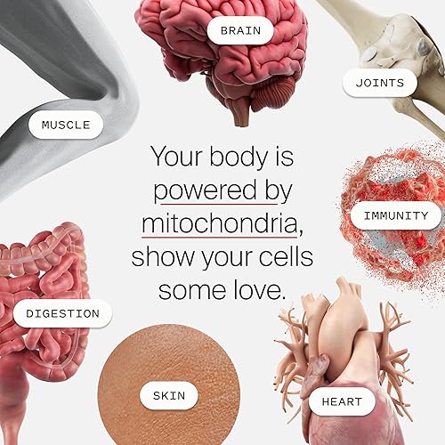 Timeline Mitopure Urolithin A Supplement - Support Healthy Aging & Cellular Renewal - Muscle Strength & Longevity - 60 Softgels