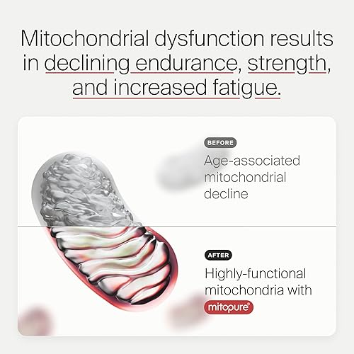 Timeline Mitopure Urolithin A Supplement - Supports Healthy Aging & Muscle Strength - 60 Softgels