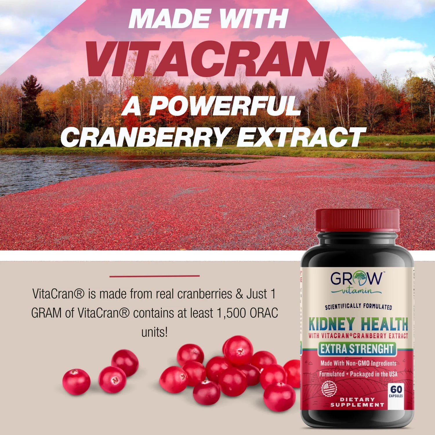 Grow Vitamin Organic Kidney Health Supplement with Cranberry & Astragalus - 60 Caps