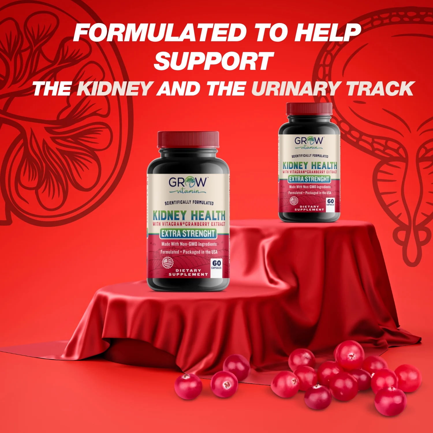 Grow Vitamin Organic Kidney Health Supplement with Cranberry & Astragalus - 60 Caps